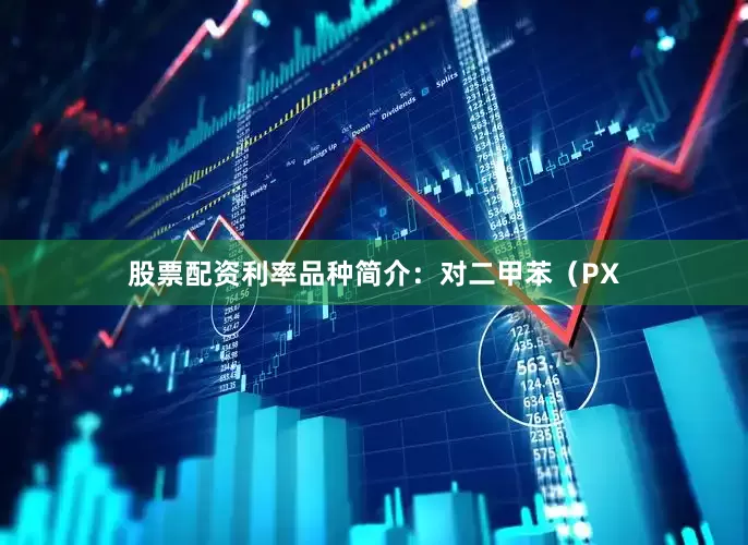股票配资利率品种简介：对二甲苯（PX