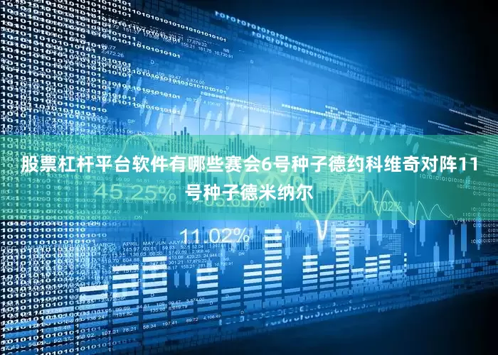 股票杠杆平台软件有哪些赛会6号种子德约科维奇对阵11号种子德米纳尔