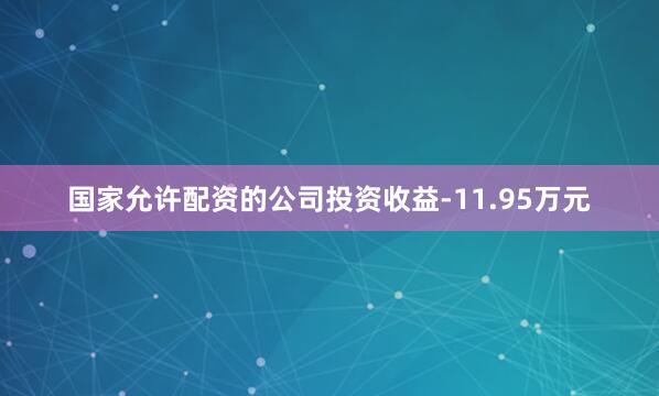 国家允许配资的公司投资收益-11.95万元