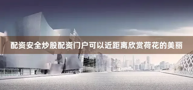 配资安全炒股配资门户可以近距离欣赏荷花的美丽