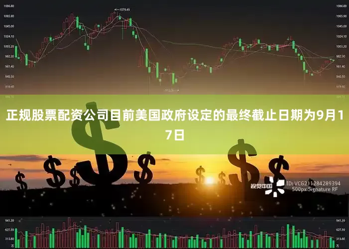 正规股票配资公司目前美国政府设定的最终截止日期为9月17日