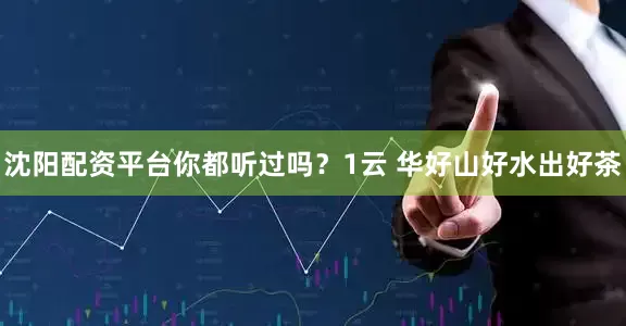 沈阳配资平台你都听过吗？1云 华好山好水出好茶